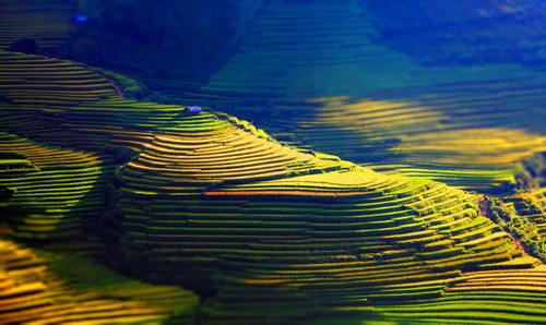 Vietnam highlands: rustic charm - ảnh 5